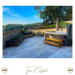 einem Hund, der auf einer Bank auf einer Terrasse sitzt in der Unterkunft Château de Laforest - Les Tours in Thizy-les-Bourgs