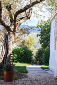 Zahrada ubytování Agriturismo Colle Tocci