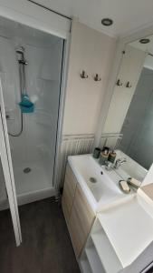 Ένα μπάνιο στο Mobile-home confort 3 chambres au camping, La Bourboule