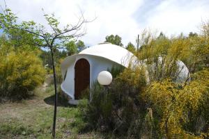 a dome tent in the middle of a field at Otro-Mundo in Fuente del Taif +13 photos