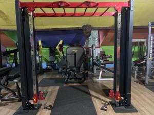 Fitness centrum a/nebo fitness zařízení v ubytování ElGringo Clisura Dunarii