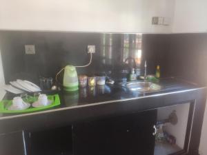 Kuchyň nebo kuchyňský kout v ubytování Menik's place