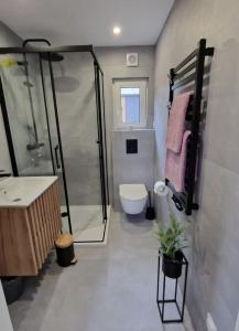 a bathroom with a shower and a toilet and a sink at Tiny House Finja - Wohlfühldomizil am Plauer See in Stuer