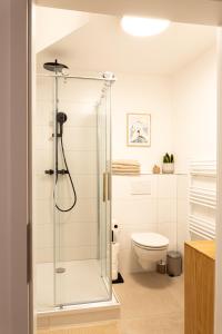 a bathroom with a shower and a toilet at FeWo im Herzen von Worpswede in Worpswede
