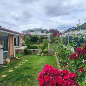 a yard with red roses and a house at 4 Bedroom Peaceful stay in Wright with plenty of room to be with family or friends in Weston Creek