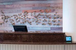 Un muro con un mucchio di api sopra di Courtyard Carolina Beach Oceanfront a Carolina Beach