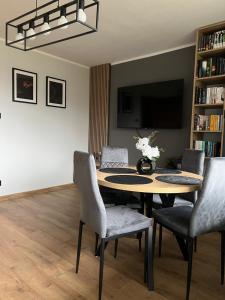 Μια τηλεόραση ή/και κέντρο ψυχαγωγίας στο Apartament Francuska