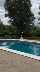a person sitting next to a swimming pool at Posada Quellen in Villa General Belgrano