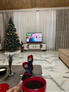 Μια τηλεόραση ή/και κέντρο ψυχαγωγίας στο Luxury House
