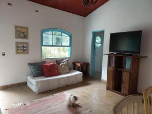 a living room with a couch and a cat sitting on the floor at Charmosa edícula próxima a praia in São Sebastião