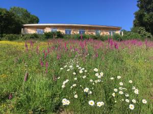 un campo di fiori davanti a una casa di The Sanctuary Cornwall a Golant