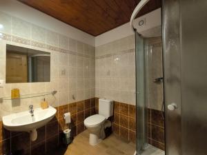 a bathroom with a toilet and a sink and a shower at Penzion Pod Chřiby in Zdounky +34 photos