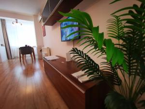 a living room with a television and a large plant at ALDIRA Studio Arena Nationala in Bucharest