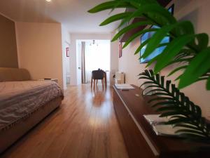 a bedroom with a bed and a table and a plant at ALDIRA Studio Arena Nationala in Bucharest