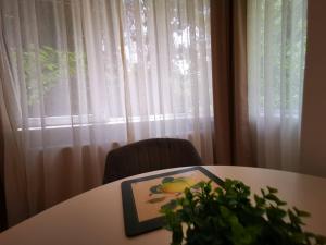 a table with a picture on it with a window at ALDIRA Studio Arena Nationala in Bucharest