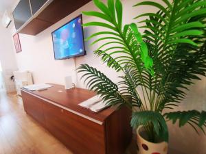 a desk with a tv and a potted plant at ALDIRA Studio Arena Nationala in Bucharest