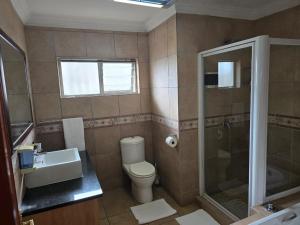 a bathroom with a toilet and a shower and a sink at All Seasons Boutique Hotel - Sustainable Electricity and Water in Pretoria