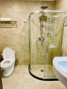 a bathroom with a shower and a toilet and a sink at Bakuriani, crystal residence 405 room in Bakuriani