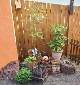 Giardino di Haus Zwanzig