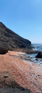 Paesaggio naturale nelle vicinanze della stanza in casa privata