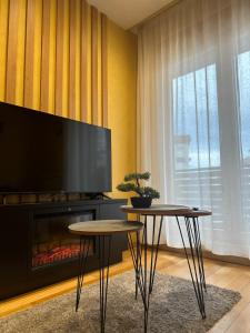 Un televizor și/sau centru de divertisment la Diamond Kalman, Zlatibor