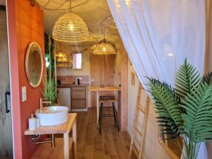 a bathroom with a sink and a kitchen with a mirror at Barcazen in Le Barcarès +22 photos