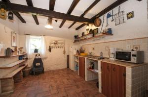 Кухня или мини-кухня в Stone house Na Rudini
