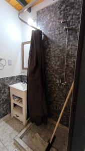 a bathroom with a shower and a sink at Duplex con patio y cochera, con aire acondicionado y vajilla completa en el centro de Choele Choel in Choele Choel