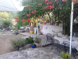 Zahrada ubytování Stone house Na Rudini