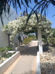 Zahrada ubytování Les jardins de Silona, piscine chauffée