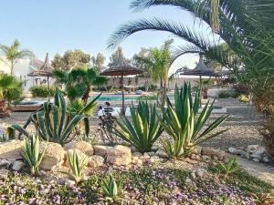 Bazén v ubytování Les jardins de Silona, piscine chauffée nebo v jeho okolí