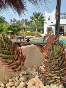 Fotografie z fotogalerie ubytování Les jardins de Silona, piscine chauffée v destinaci Essaouira