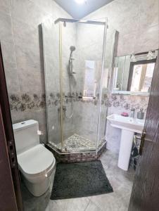 a bathroom with a shower and a toilet and a sink at Elena Apartment in Batumi