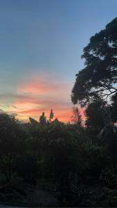 a sunset in the sky with a bunch of trees at Shared house with 1 couple,Kata hill Karon in Ban Karon