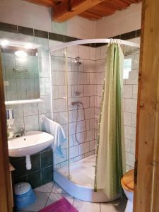 a bathroom with a shower and a sink at Morvai vendégház in Zalalövő +9 photos