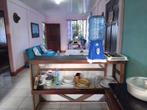 a kitchen with a blue blender on top of a counter at Monkey Beach House in Tortuguero