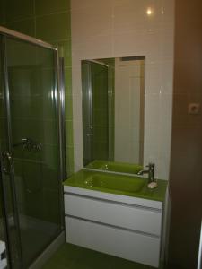 La salle de bains est pourvue d'un lavabo vert et d'une douche. dans l'établissement Casa da Fonte Nova, à Coja