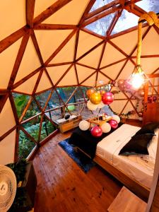 Jídlo v luxury tent nebo okolí