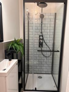 a shower with a glass door in a bathroom at Studio proche de la cité médiévale Crémieu in Dizimieu