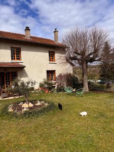 a cat standing in the grass in front of a house at Studio proche de la cité médiévale Crémieu in Dizimieu