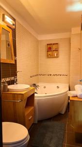 a bathroom with a tub and a toilet and a sink at Felix 41 - Piata Victoriei, Near Metro - RH Living in Bucharest