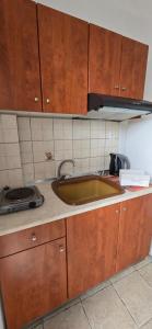 a kitchen with a sink and wooden cabinets at Nikol Thea Studio in Kallithea Halkidikis +75 photos