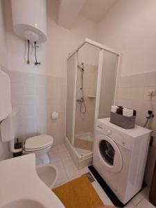 a bathroom with a washing machine and a toilet at Bernarda in Sveti Vid-Miholjice +10 photos