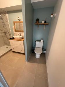 a bathroom with a toilet and a sink at Appartement centre ville Caen Vaugueux in Caen +3 photos