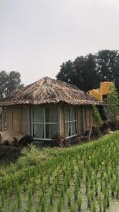 El edificio en el que está la habitación en casa particular