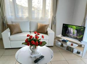 Μια τηλεόραση ή/και κέντρο ψυχαγωγίας στο NEW Zanna Apartment Hersonissos