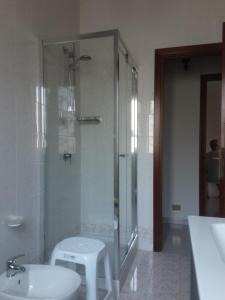 a bathroom with a shower and a toilet and a sink at B&B Il viaggio in Borghesiana  +29 photos