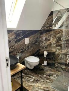 Fotografie z fotogalerie ubytování Cabana Carpatina v destinaci Borşa