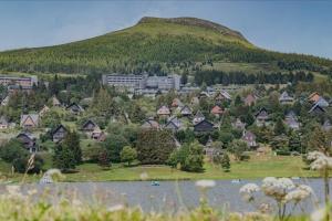 une ville avec une montagne en arrière-plan et un lac dans l'établissement Studio en montagne, à Besse-et-Saint-Anastaise