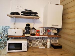 une cuisine avec un micro-ondes et un plan de travail dans l'établissement Studio en montagne, à Besse-et-Saint-Anastaise